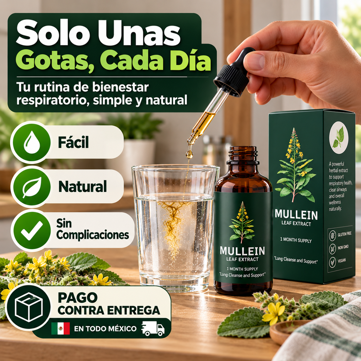 Extracto de Gordolobo (Mullein) | Apoyo Natural para Respirar Más Cómodo