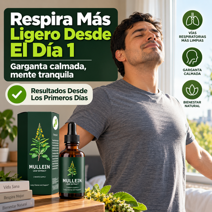 Extracto de Gordolobo (Mullein) | Apoyo Natural para Respirar Más Cómodo
