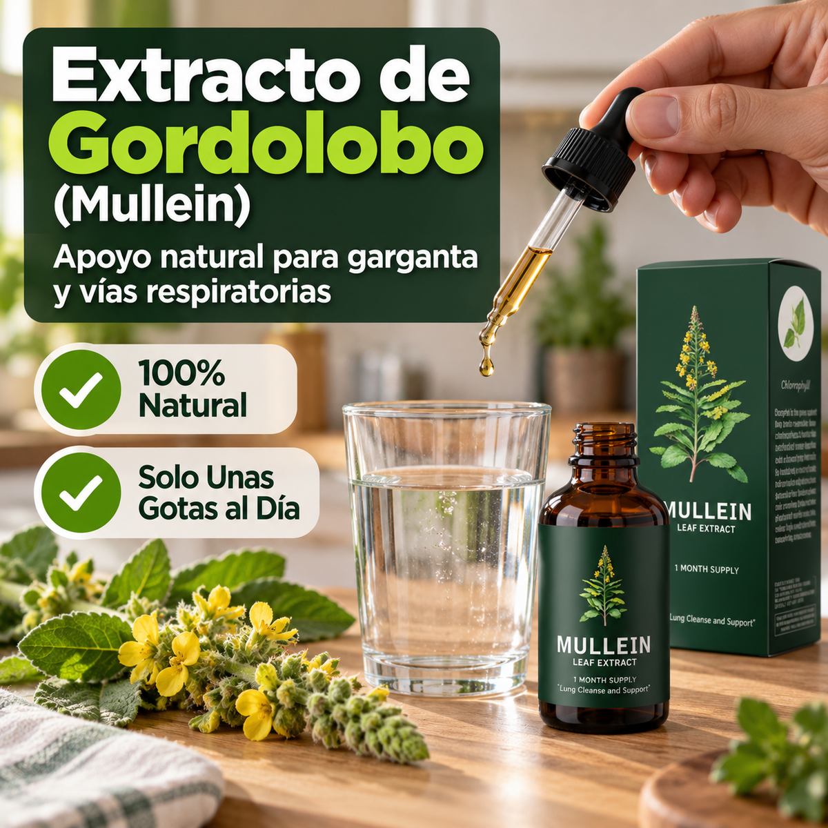 Extracto de Gordolobo (Mullein) | Apoyo Natural para Respirar Más Cómodo