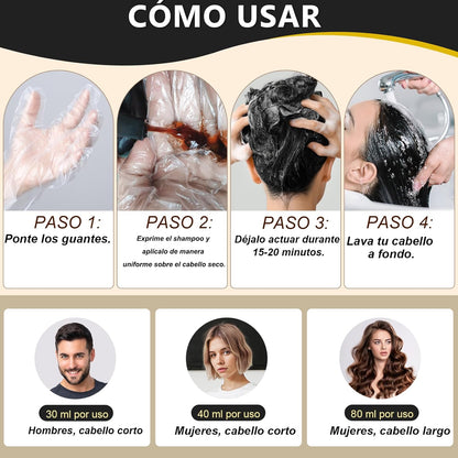 Shampoo Anticanas Tinte Negro 3 en 1 500 ml